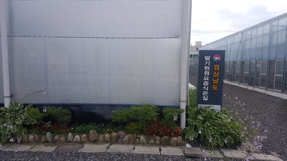 [경남진주] 기술원_ 멀티컵배드A형 [첨부 이미지3]